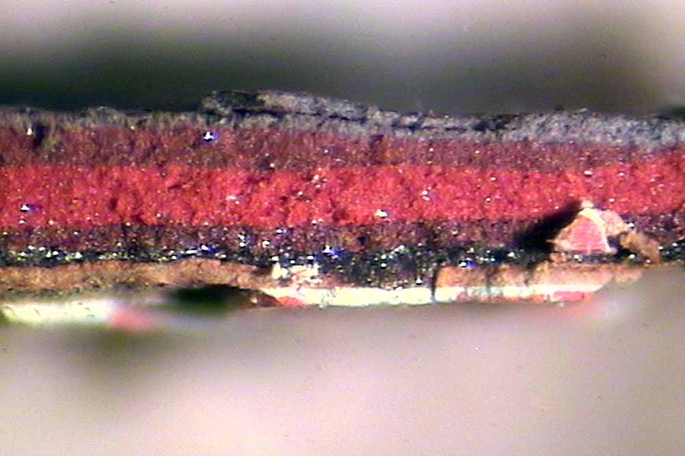 Coatings Radar - Standards